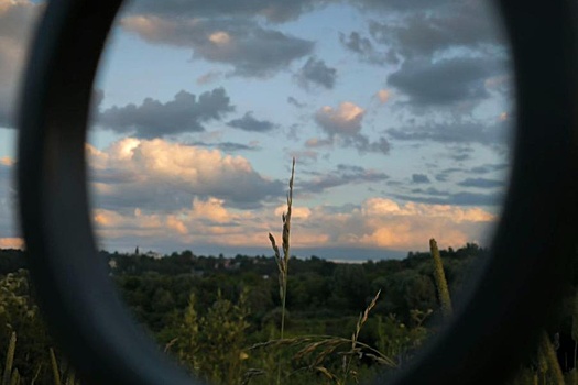 Суды Калужской области в 2025 году конфисковали 9 заброшенных земельных участков