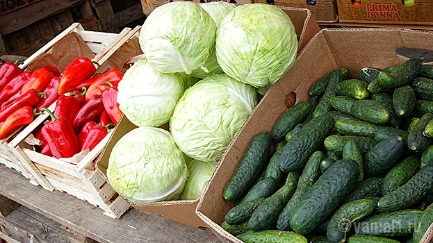 Абрамченко поручила разрешить россиянам продавать овощи и фрукты с подсобного хозяйства