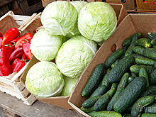 Абрамченко поручила разрешить россиянам продавать овощи и фрукты с подсобного хозяйства