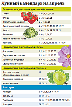 Звезды тоже копают грядки: что обязательно нужно сделать на участке в апреле