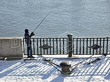 За вылов щуки донские рыбаки могут лишиться денег и орудий лова