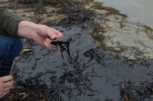 Три крупных разлива нефти ликвидировано в акваториях Приморья