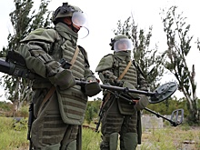Хинштейн: Саперы проверили 45 населенных пунктов Курской области