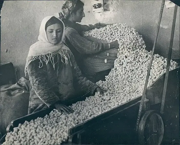 Шелководство Советской России. Ткацкая фабрика в Тифлисе, 1930 год.