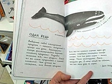В Тюмени изъяли из магазинов "вызывающие у подростков тягу к суициду" книги