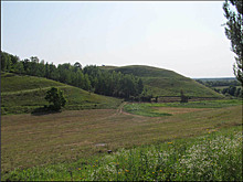 Край «белых» людей