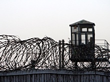 Что ждет участников побега из липецкой колонии