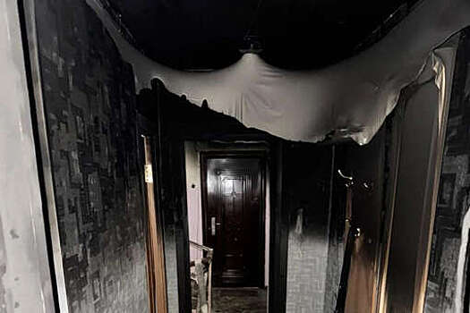 В Магадане новогодняя елка спалила квартиру многодетной семьи