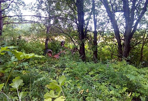 В Слободском районе в ДТП погиб водитель трактора
