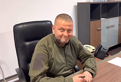 Сотрудник Минобороны Украины опубликовал новое видео с главкомом ВСУ Залужным