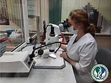 В зерне продовольственной пшеницы из Новоузенского района обнаружен карантинный объект