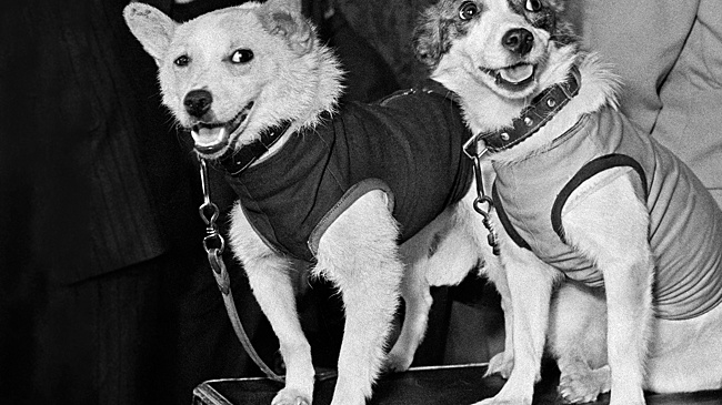 Год 65-летия полета Юрия Гагарина: Кто прокладывал человеку дорогу в космос