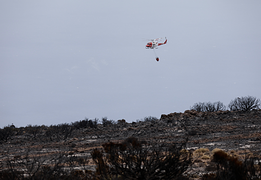 На Тенерифе эвакуировали 2,6 тыс. человек из-за лесного пожара
