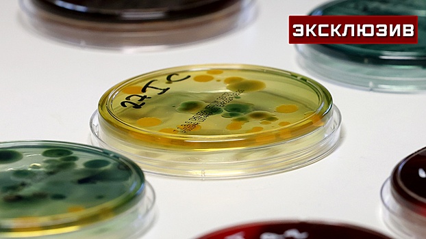 Инфекционист рассказала, чем опасна найденная в ввозимой в РФ курице листерия