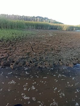 Александр Ермишин: Откуда в Волге берется кишечная палочка