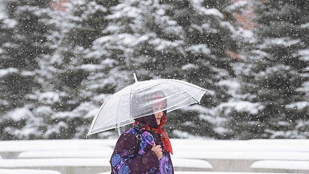 Москвичам пообещали новый снегопад