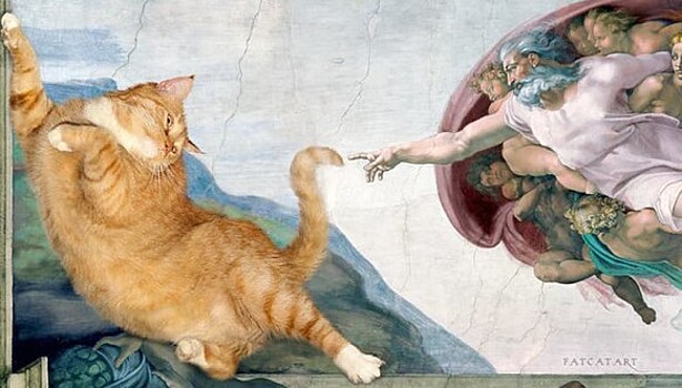 Заратустра на полотне Рафаэля: как рыжий кот из Петербурга оказался на шедеврах мирового искусства