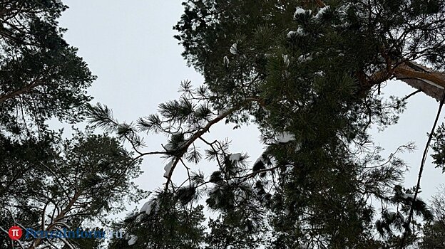 Стало известно, когда начнут благоустраивать сквер «Семейный»