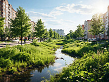 В России разработают методику оценки очистки воздуха растениями