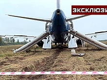 На видео попали отвалившиеся части самолета А320, совершившего посадку в поле