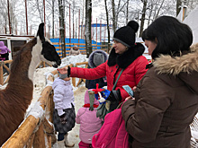 Северные олени, настоящая кузница и шоурумы: стало известно, где пройдет десятый пресс-тур "Поехали"