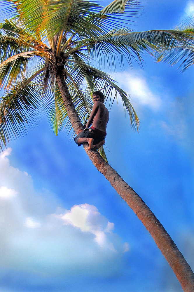 Атолл Хаа-Алиф, Мальдивы, Азия