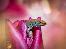 Центр «Меридиан» приглашает на выставку «Макромир»