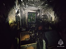 В Нижнем Новгороде пожарные МЧС эвакуировали 10 человек из горящего жилого дома