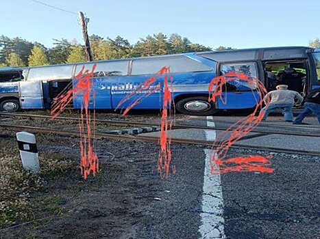 Автобус с туристами столкнулся с грузовым поездом в Ленобласти
