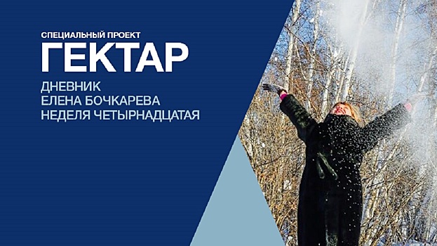 Разбираемся в тонкостях договора на гектар — продолжаем редакционный эксперимент