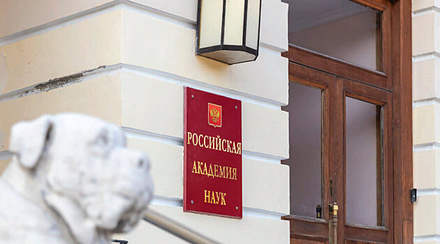 РАН потратит 11,3 млн рублей на автомобиль с мигалками и спецсвязью для президента