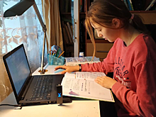 В трех приграничных районах Курской области 7 школ и 7 филиалов ушли на дистант