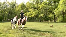 Пензенским школьникам показали, как подружиться с лошадьми
