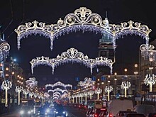 В Петербурге закрыли парки и скверы из-за непогоды