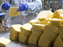 20 крупнейших сыродельных компаний из России увеличили выпуск на 8,3%