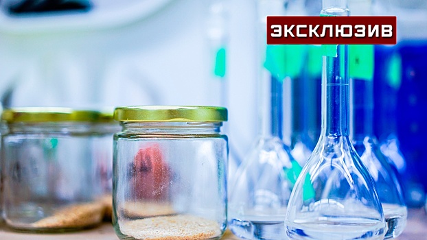 Вирусолог рассказал о смертельно опасной лихорадке Ласса, выявленной в Великобритании