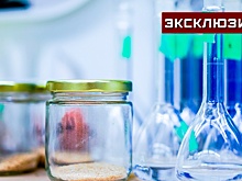 Вирусолог рассказал о смертельно опасной лихорадке Ласса, выявленной в Великобритании