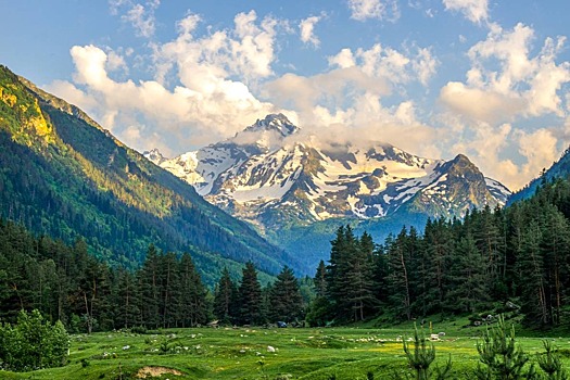 По следам новых «Бременских музыкантов»: маршрут для тех, кто любит уединение