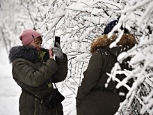 Россиянам рассказали, какие селфи могут закончиться уголовным делом