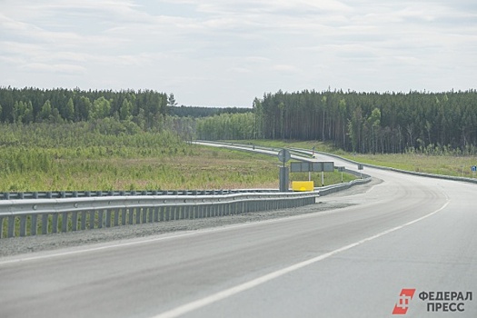 На тюменской трассе иномарка сбила маленькую девочку и протащила ее на капоте