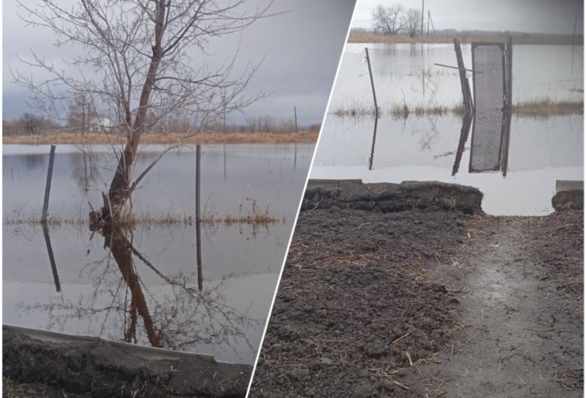 «В затопленных огородах плещутся ондатры» — На севере Омской области разлилась река