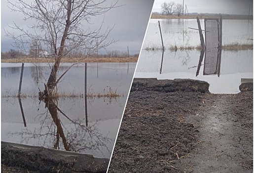 «В затопленных огородах плещутся ондатры» - На севере Омской области разлилась река