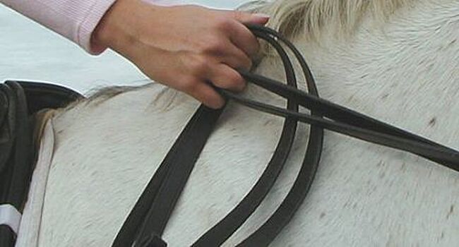 Календарь истории. Год назад на саратовском ипподроме лошадь оторвала девушке ступню