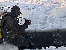 Найдены тела утонувших в озере под Самарой супругов