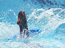 Ильиных и Полякова вышли в финал ЧМ