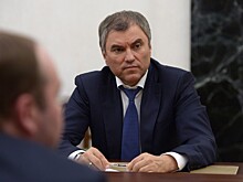 Володин предложил показать выставку о войне в Сирии европейским депутатам