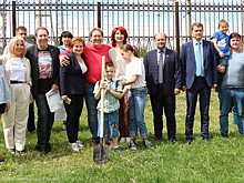 Участник «Квартета И» Александр Демидов заложил в Рязани липовую аллею в честь отца