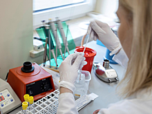 В России выявили восемь новых случаев коронавируса