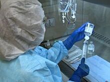 «Заморская» эпидемия. Африканский вирус впервые появился в Сибири