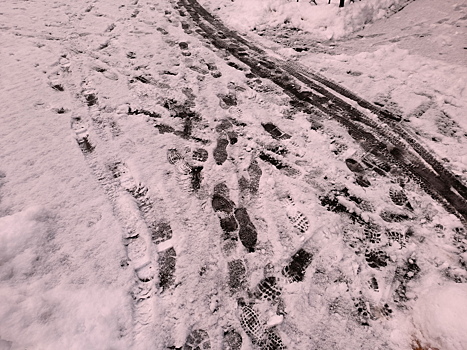 Москва останется без снега как минимум до середины декабря